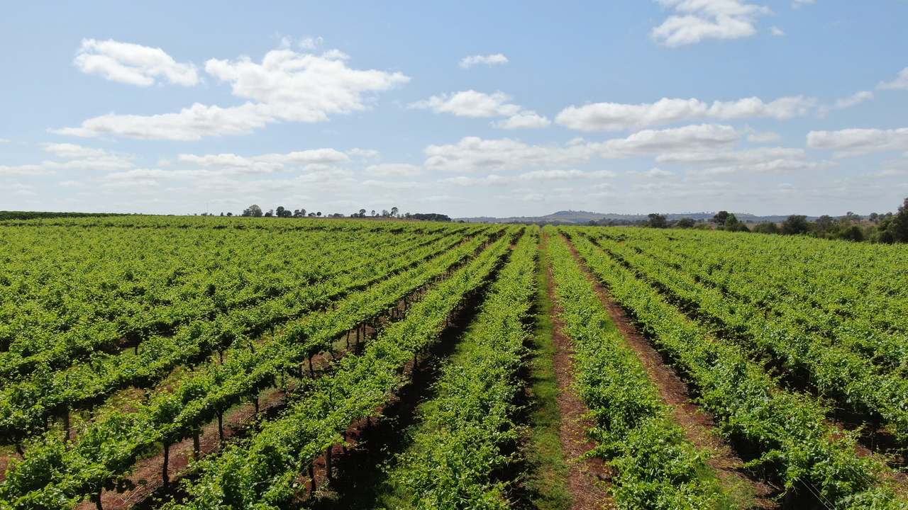 Glenrae Dip Road, Boynewood For Sale by Farmbuy.com - image 2