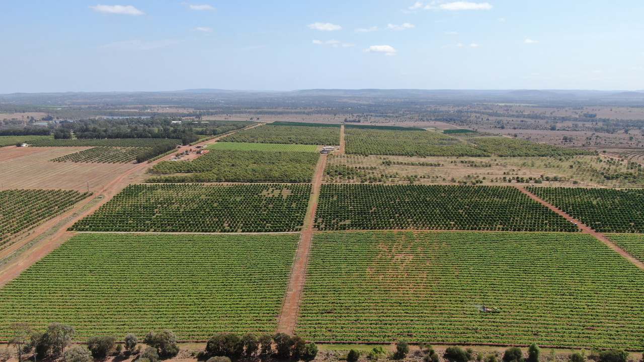 Glenrae Dip Road, Boynewood For Sale by Farmbuy.com - image 9