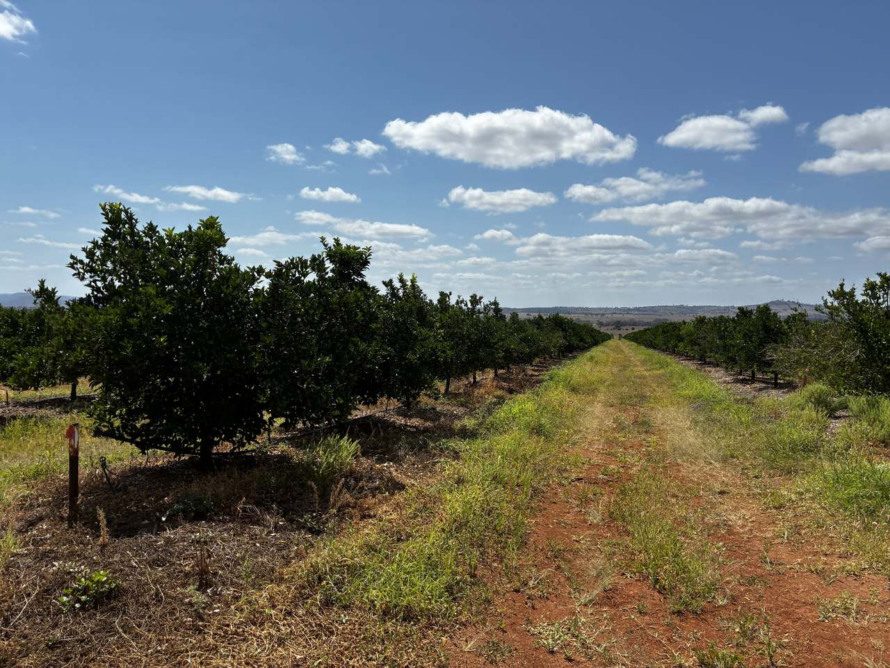 Glenrae Dip Road, Boynewood For Sale by Farmbuy.com - image 10