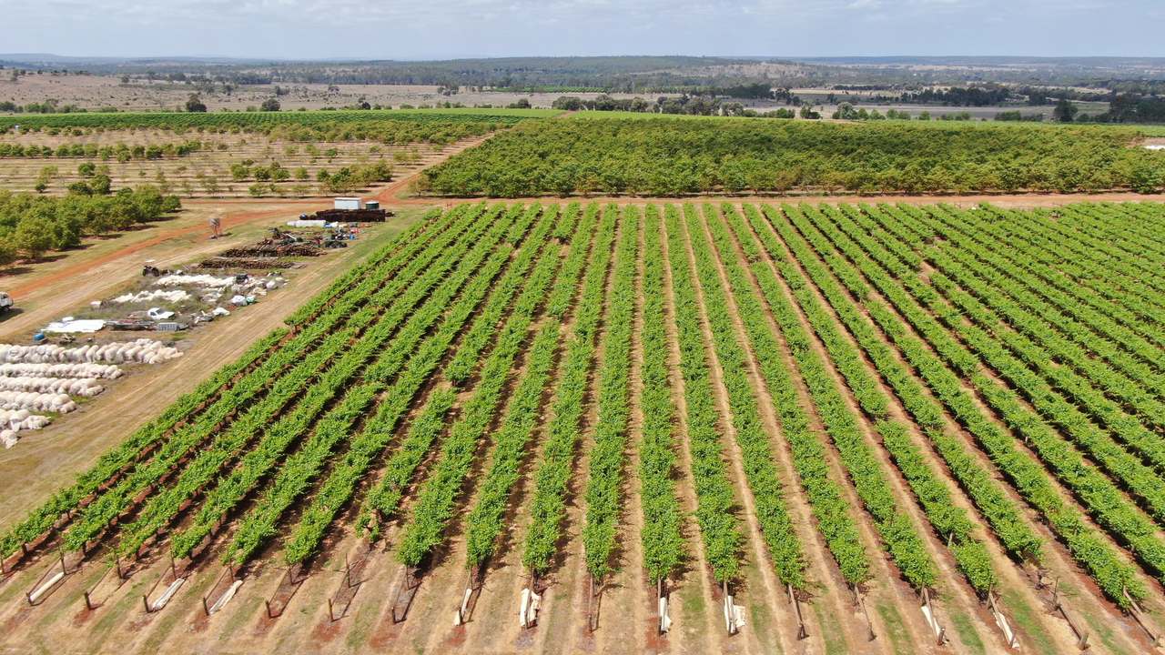 Glenrae Dip Road, Boynewood For Sale by Farmbuy.com - image 8