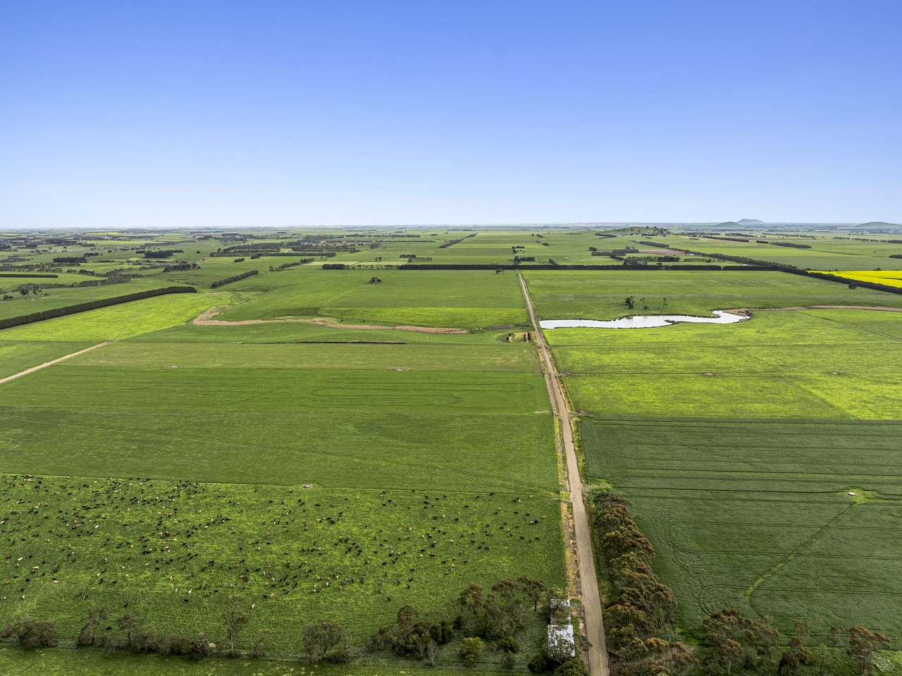 684 Castle Carey Road, Boorcan Expressions of Interest by Farmbuy.com - image 5