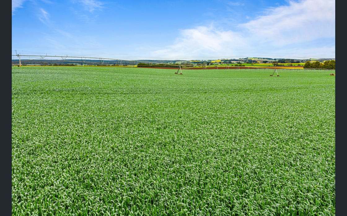 1712 Ballarat-Daylesford Road, Newlyn Expressions of Interest by Farmbuy.com - image 5