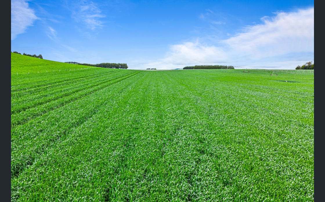 1712 Ballarat-Daylesford Road, Newlyn Expressions of Interest by Farmbuy.com - image 7