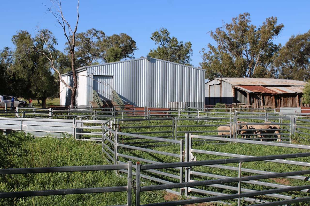 Dandaloo Road, Albert Expressions of Interest by Farmbuy.com - image 12