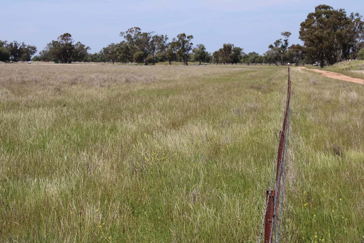 Dandaloo Road, Albert Expressions of Interest by Farmbuy.com - image 10