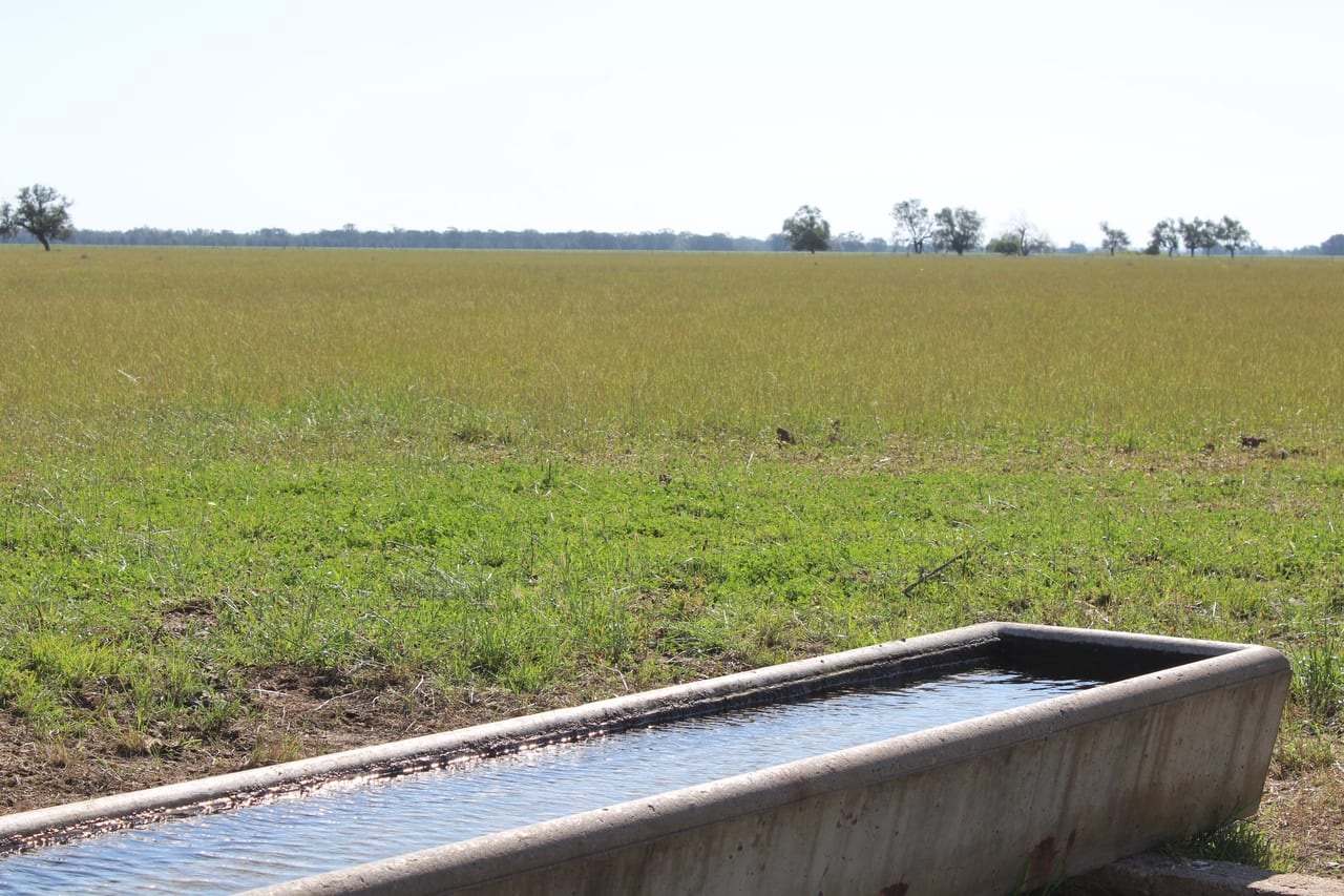 Dandaloo Road, Albert Expressions of Interest by Farmbuy.com - image 6