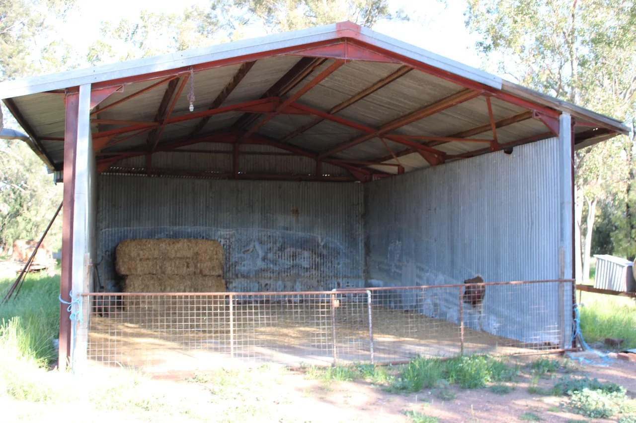 Dandaloo Road, Albert Expressions of Interest by Farmbuy.com - image 16