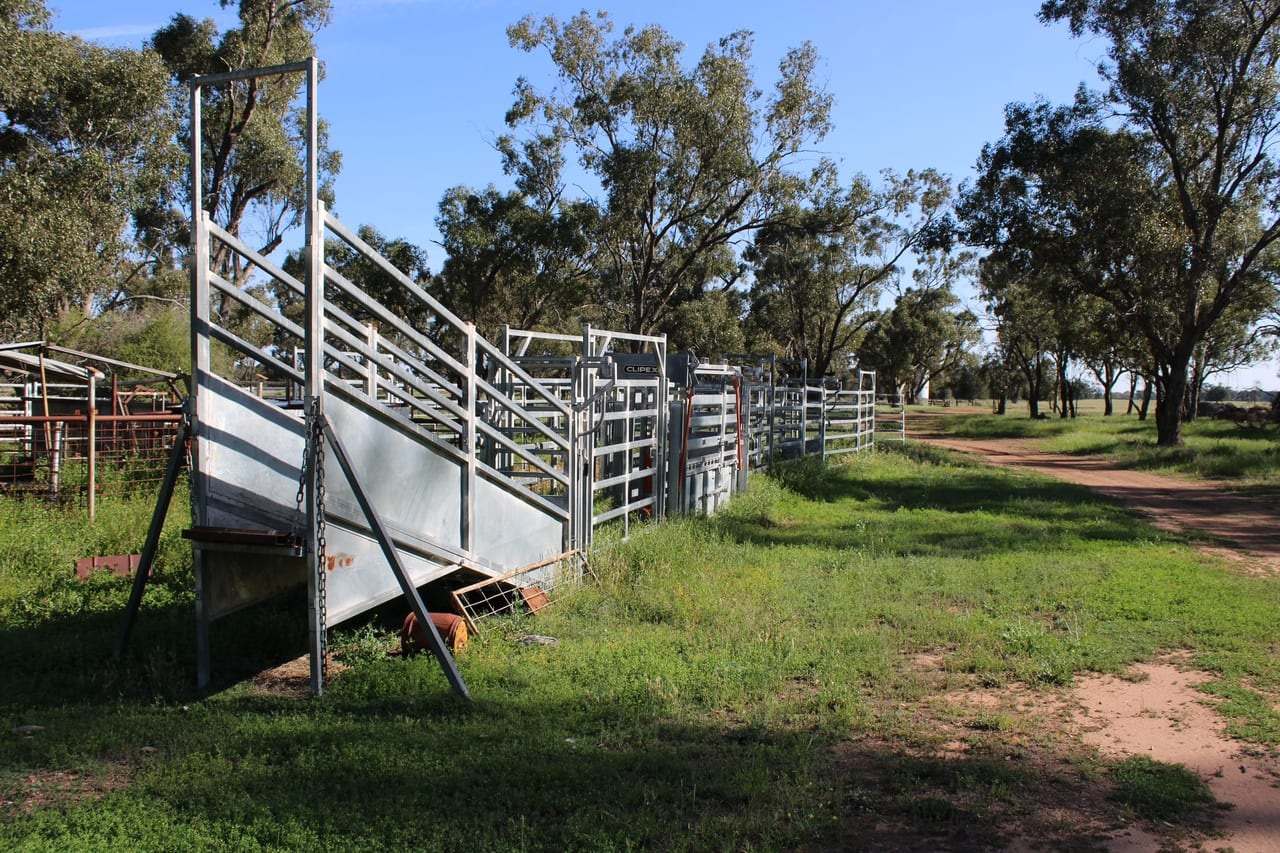 Dandaloo Road, Albert Expressions of Interest by Farmbuy.com - image 11