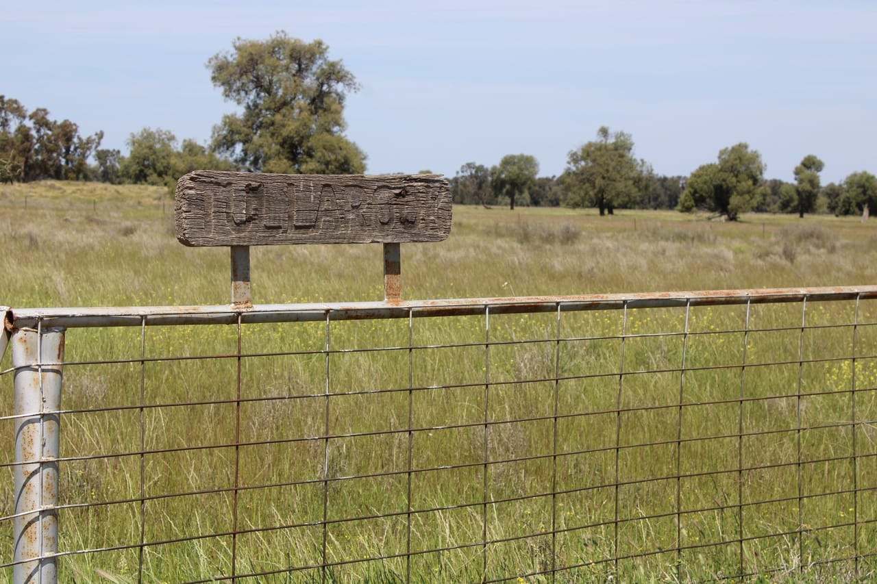 Dandaloo Road, Albert Expressions of Interest by Farmbuy.com - image 8