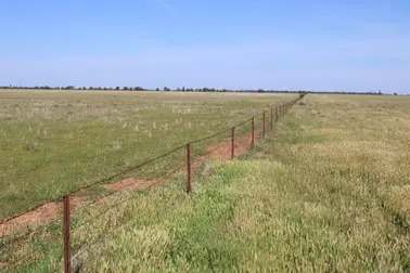 Dandaloo Road, Albert Expressions of Interest by Farmbuy.com - image 2