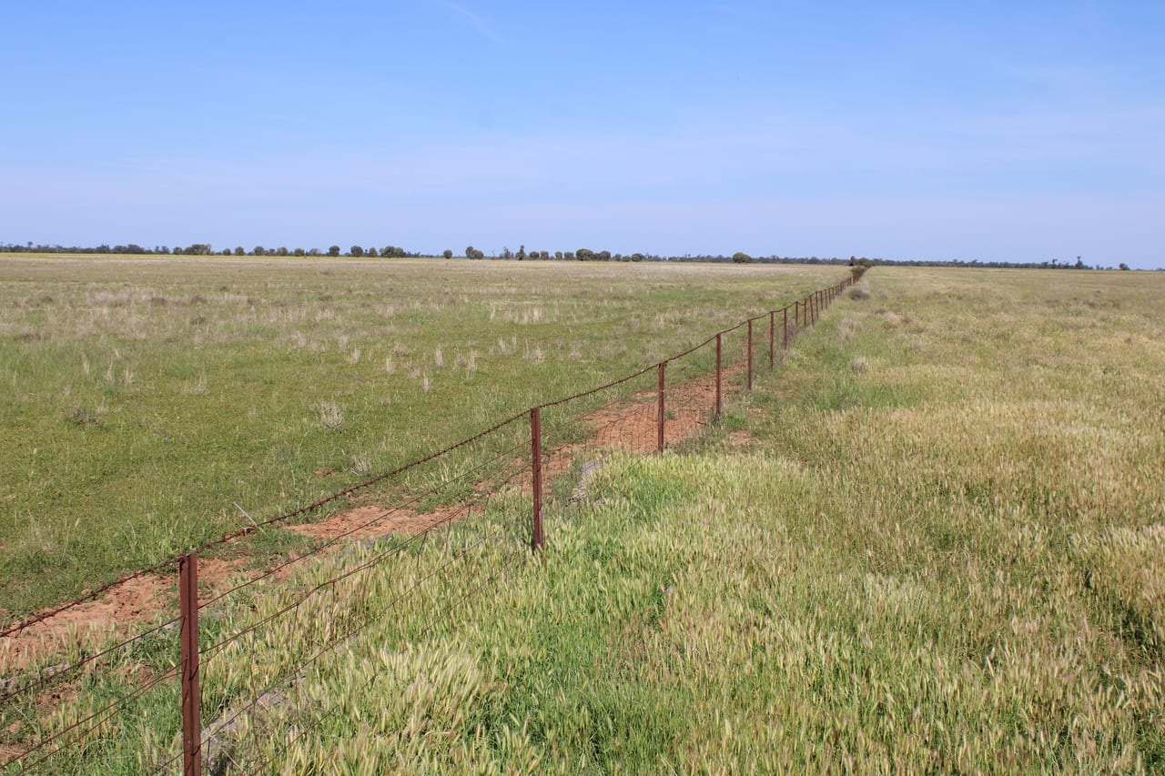 Dandaloo Road, Albert Expressions of Interest by Farmbuy.com - image 5