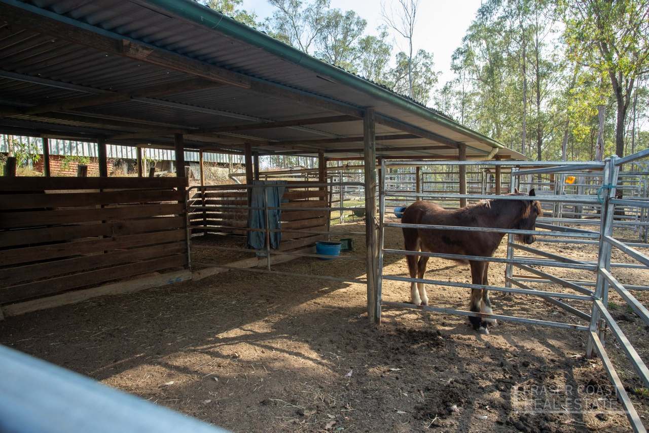 100 Balandinas Drive, Tiaro For Sale by Farmbuy.com - image 31