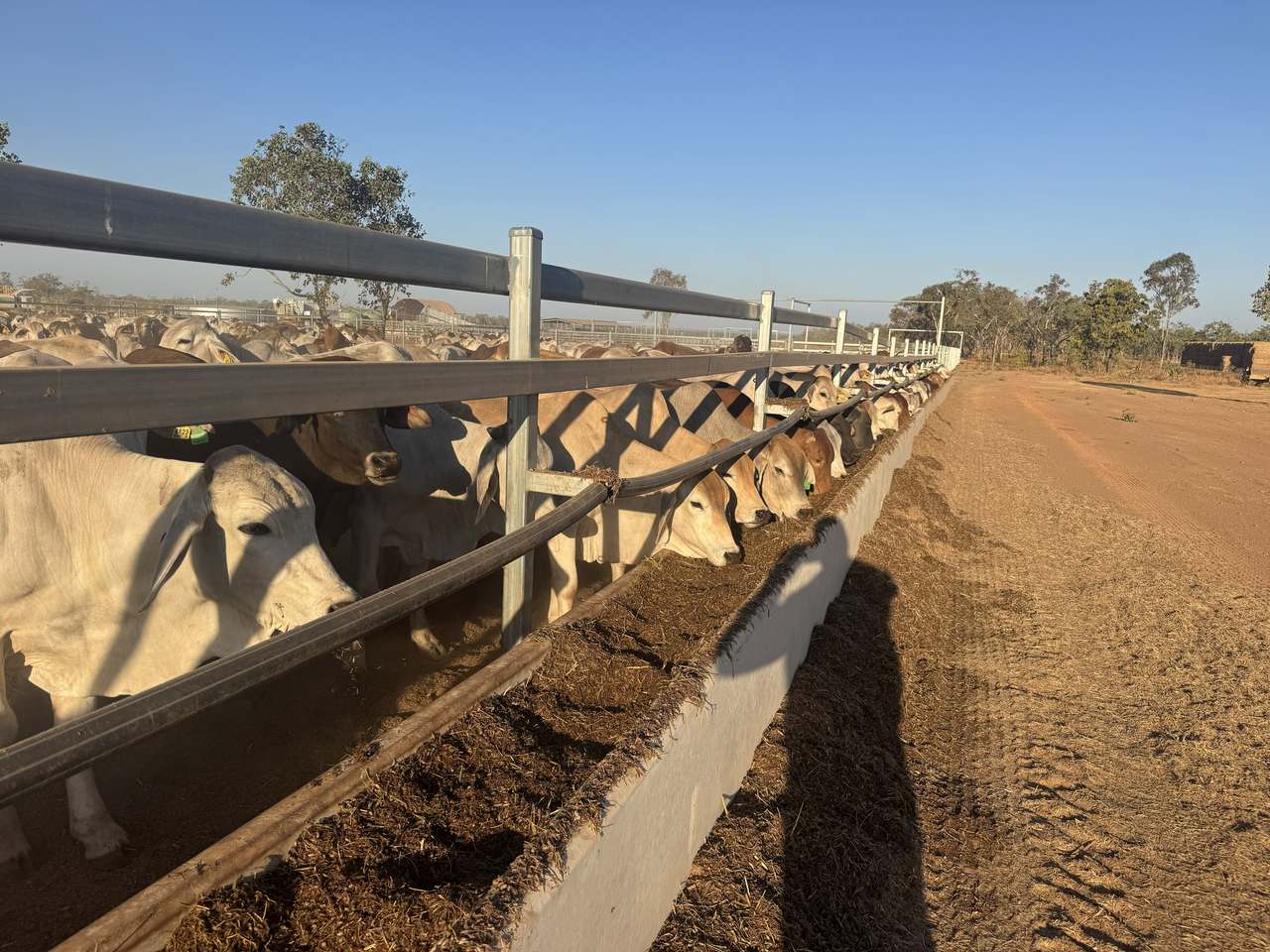 Claravale , Claravale  For Sale by Farmbuy.com - image 4