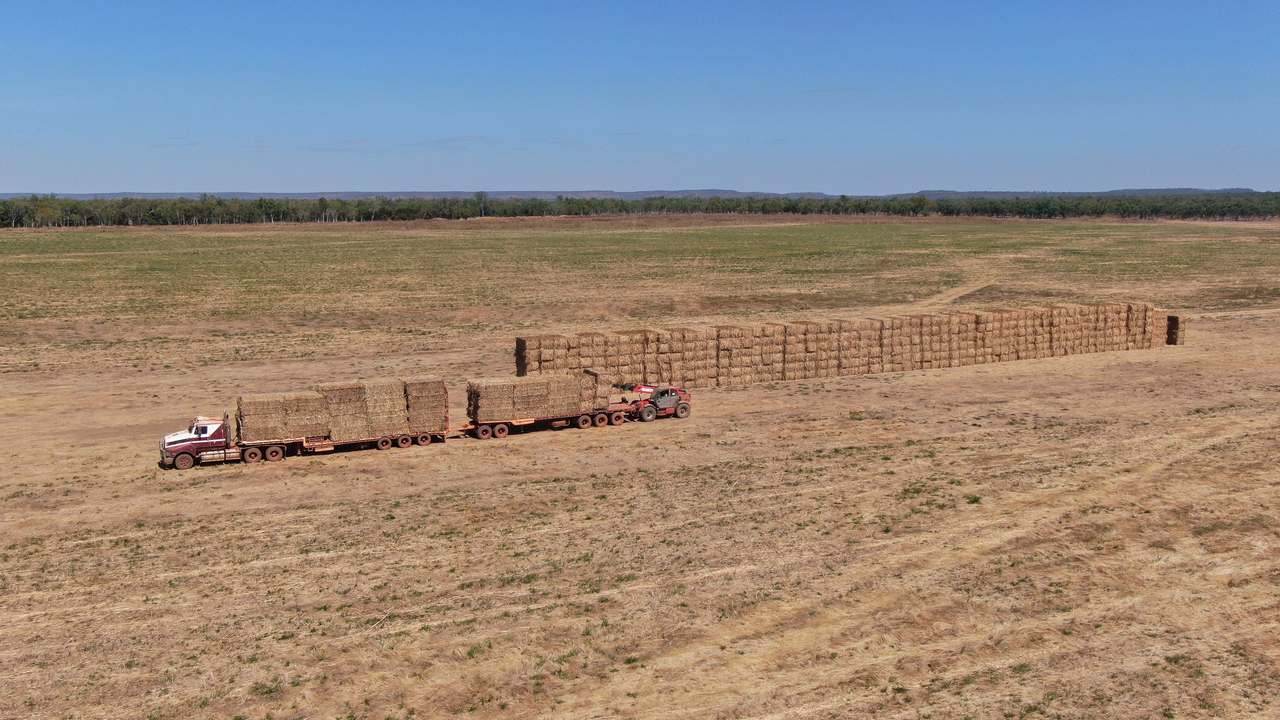 Claravale , Claravale  For Sale by Farmbuy.com - image 19