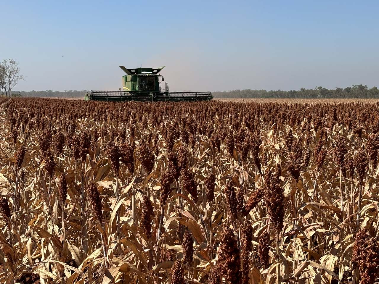 Claravale , Claravale  For Sale by Farmbuy.com - image 20