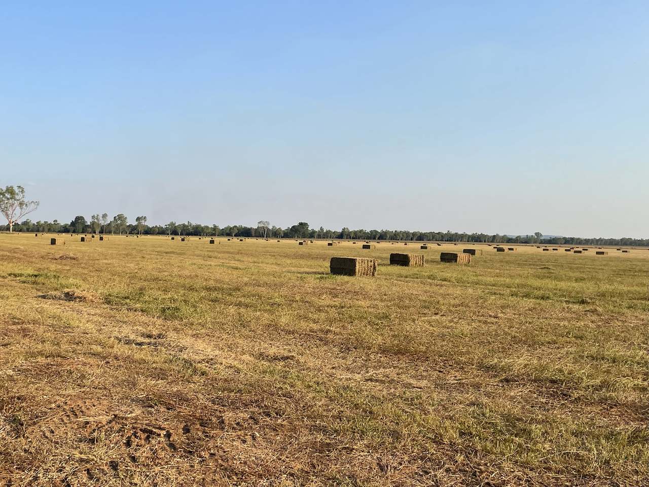 Claravale , Claravale  For Sale by Farmbuy.com - image 22