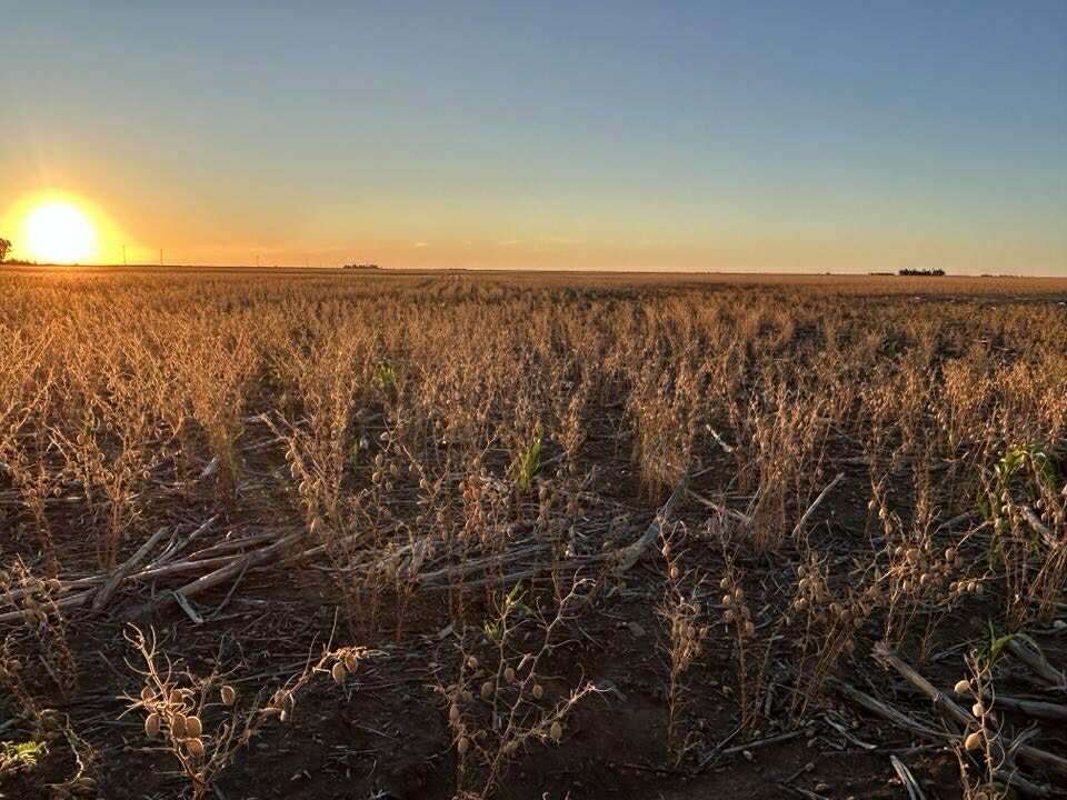2094 West Prairie Road, West Prairie For Sale by Farmbuy.com - image 12
