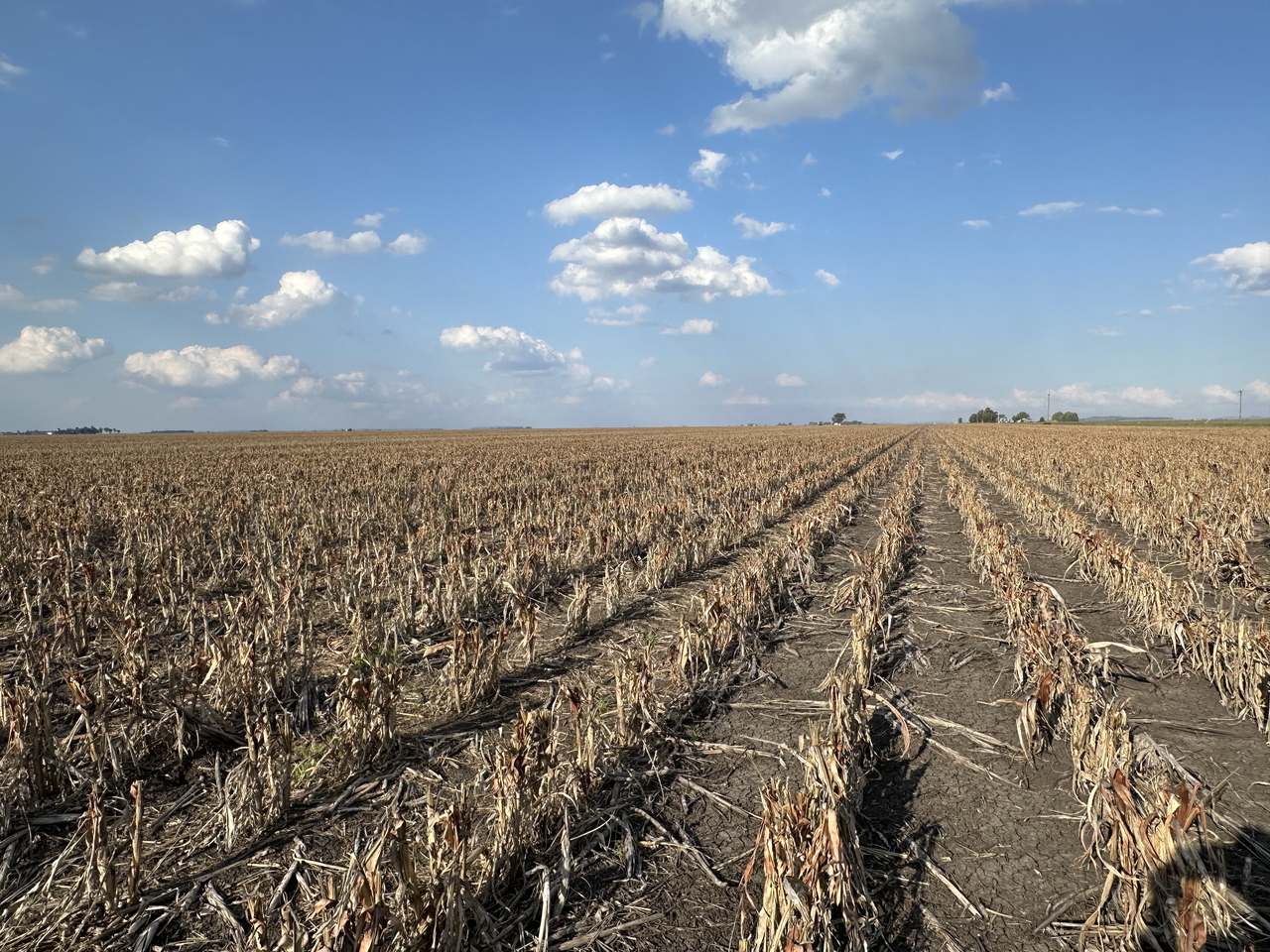 2094 West Prairie Road, West Prairie For Sale by Farmbuy.com - image 2