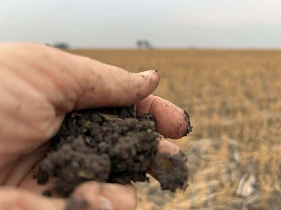 2094 West Prairie Road, West Prairie For Sale by Farmbuy.com - image 10