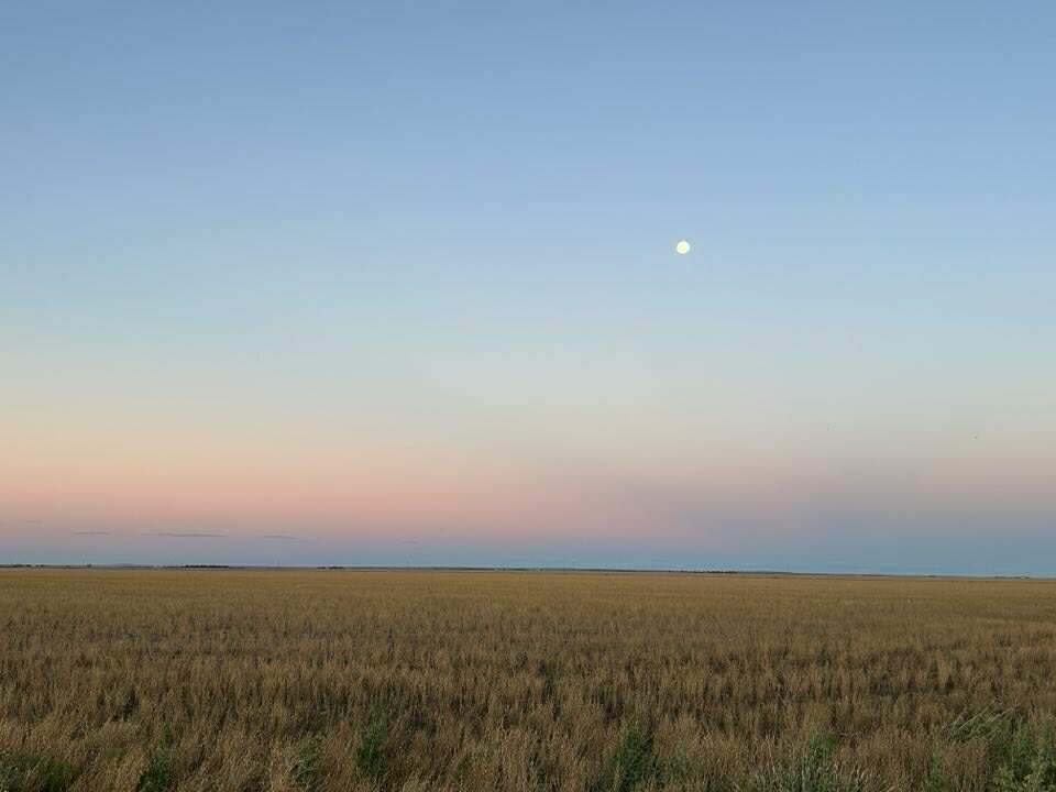 2094 West Prairie Road, West Prairie For Sale by Farmbuy.com - image 13