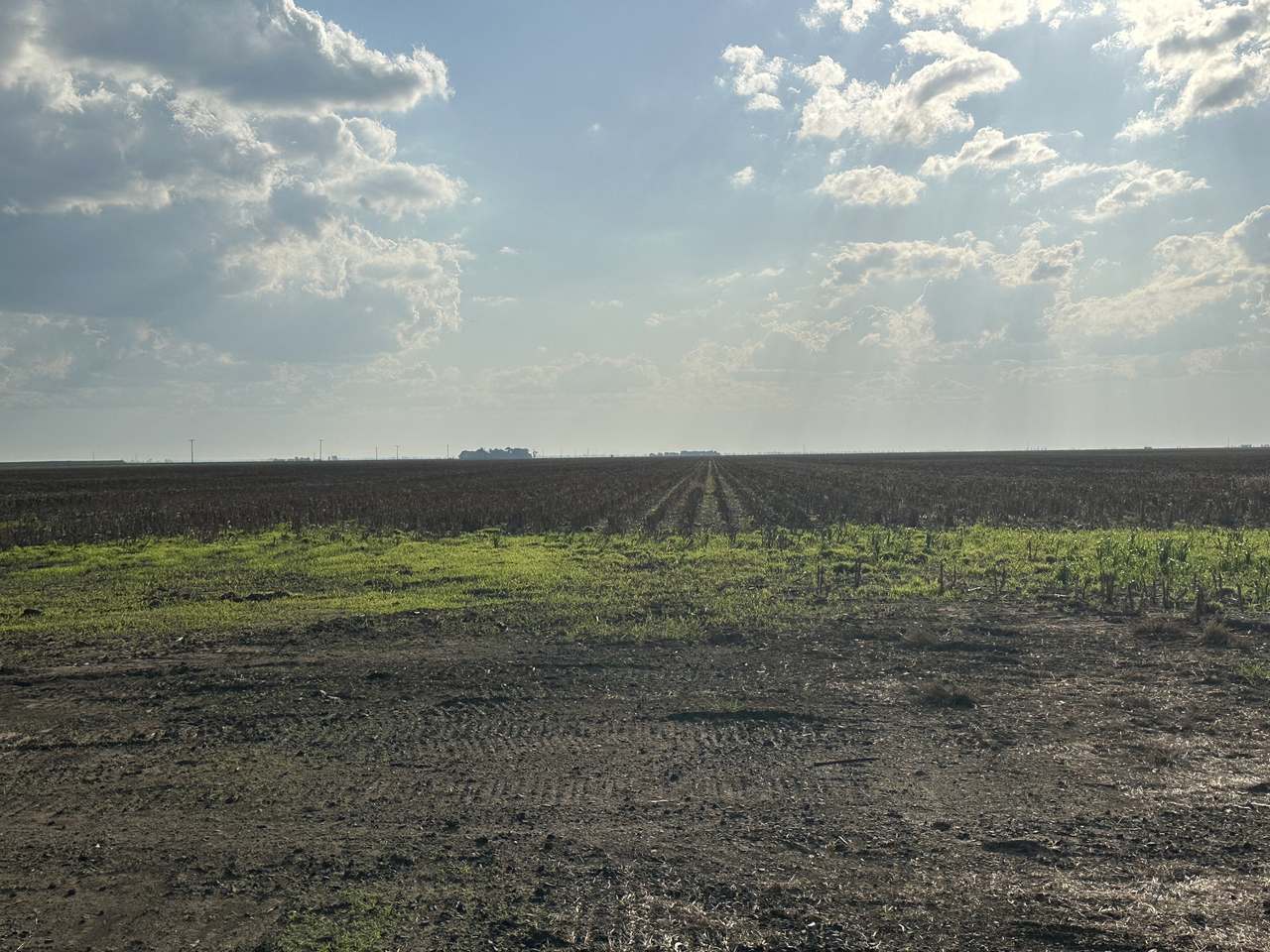 2094 West Prairie Road, West Prairie For Sale by Farmbuy.com - image 9