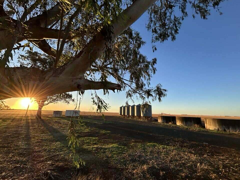 2094 West Prairie Road, West Prairie For Sale by Farmbuy.com - image 11
