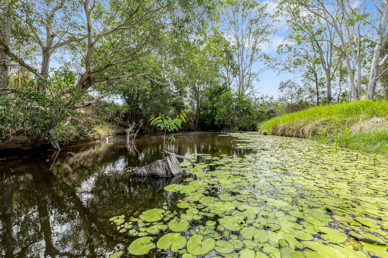 189 Shadbolt Road, Mothar Mountain For Sale by Farmbuy.com - image 31