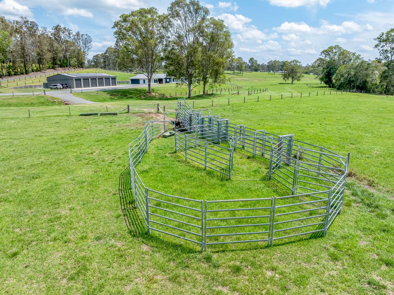 189 Shadbolt Road, Mothar Mountain For Sale by Farmbuy.com - image 26