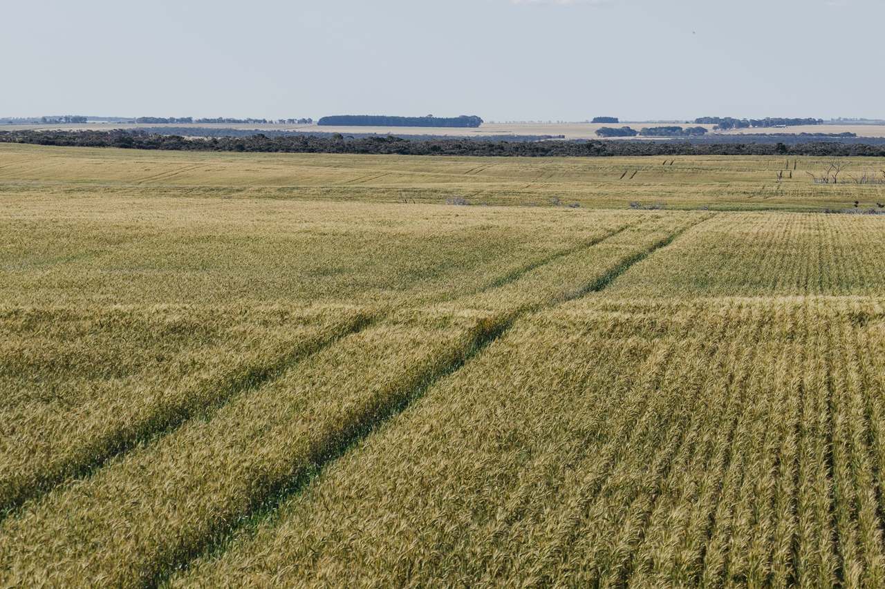 584 Bedford Harbour Road, Munglinup For Sale by Farmbuy.com - image 5