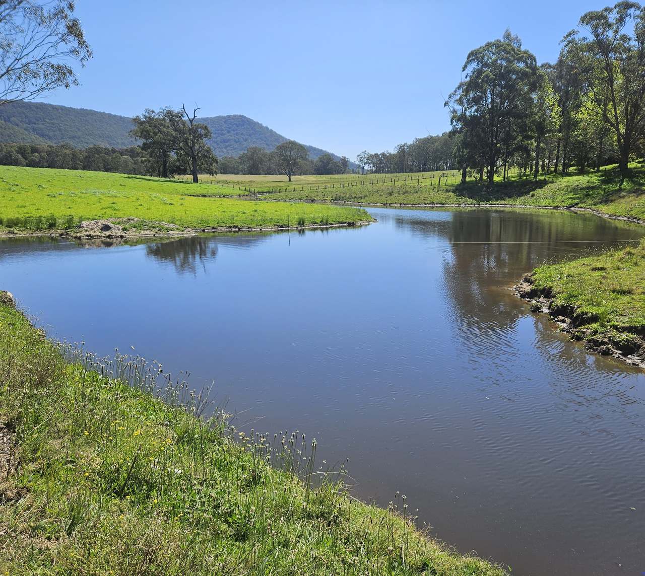 179 Gresford Road, Paterson For Sale by Farmbuy.com - image 4