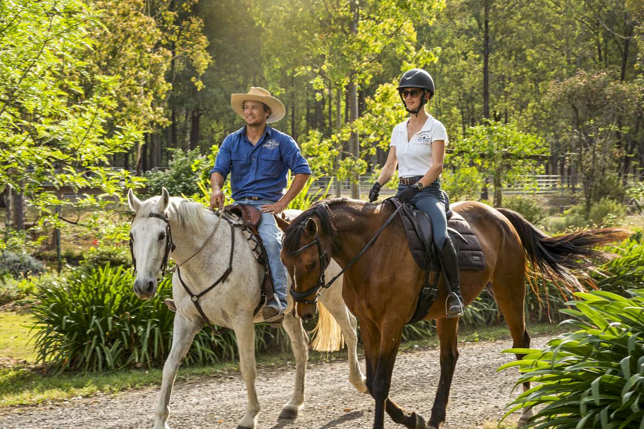 179 Gresford Road, Paterson For Sale by Farmbuy.com - image 11