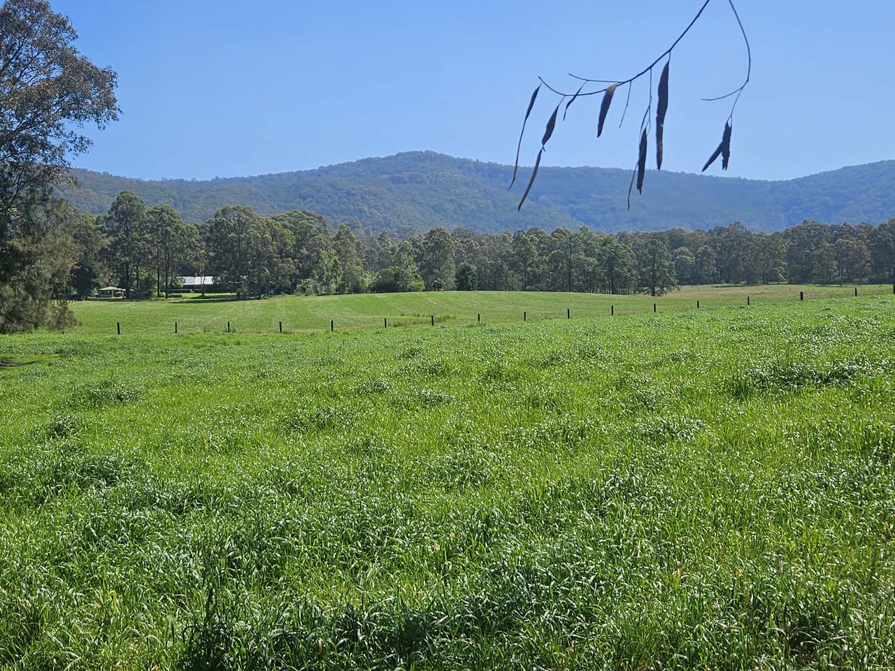 179 Gresford Road, Paterson For Sale by Farmbuy.com - image 7