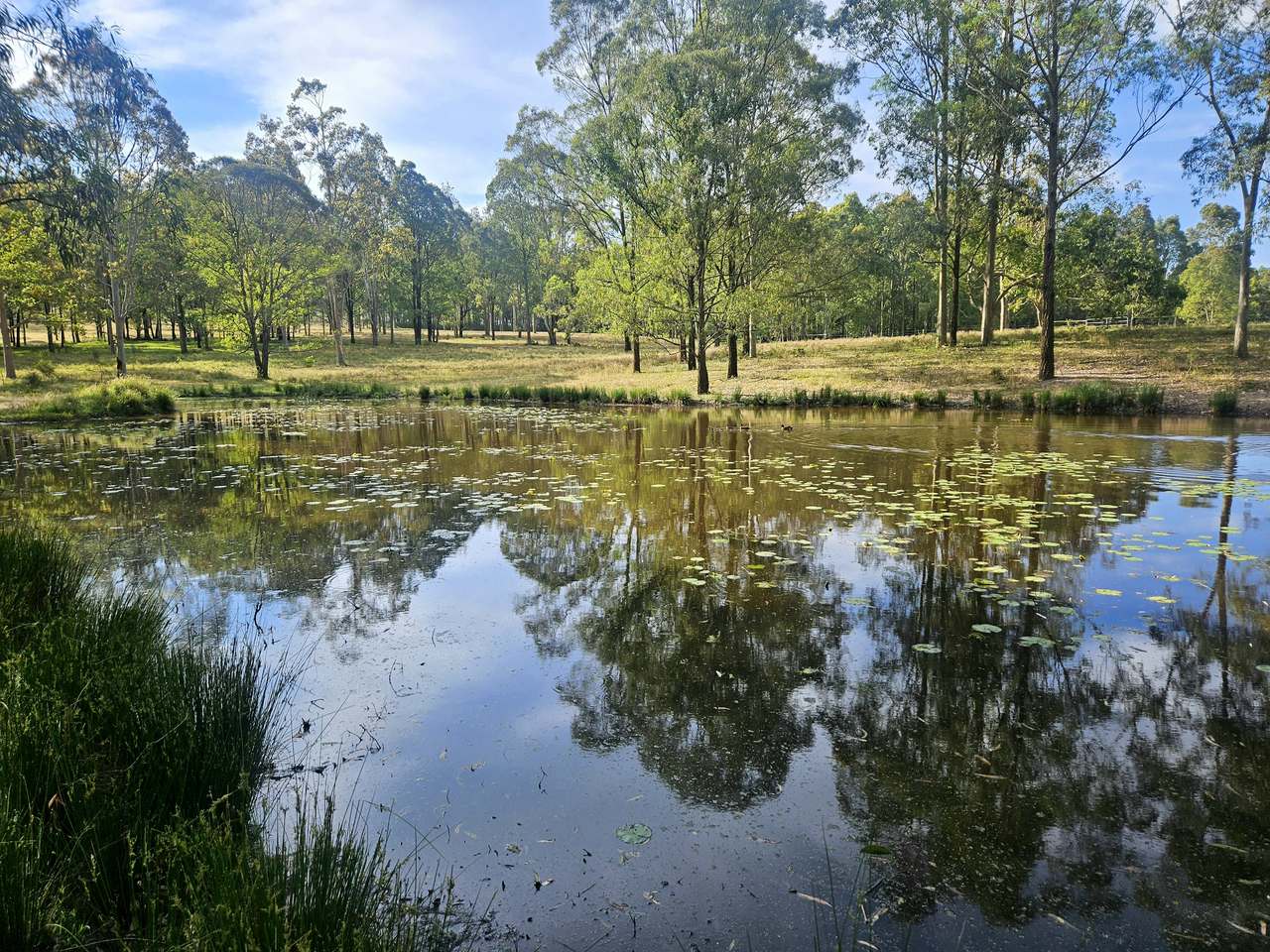 179 Gresford Road, Paterson For Sale by Farmbuy.com - image 38