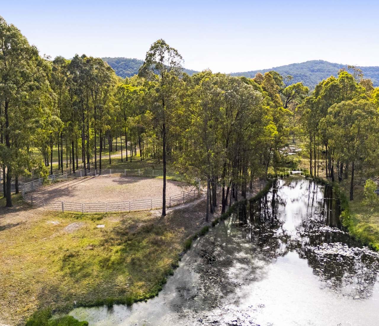 179 Gresford Road, Paterson For Sale by Farmbuy.com - image 10