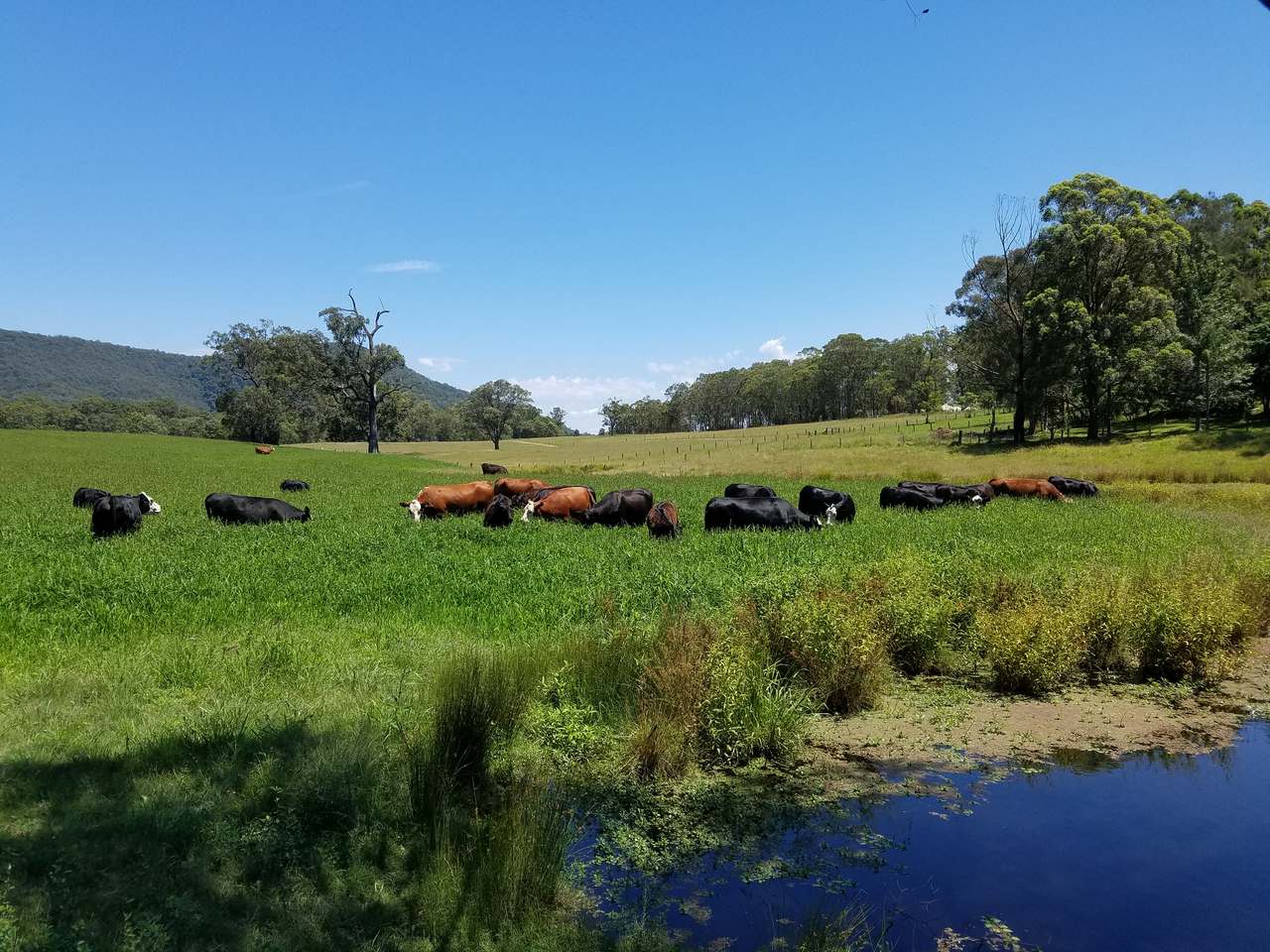 179 Gresford Road, Paterson For Sale by Farmbuy.com - image 5