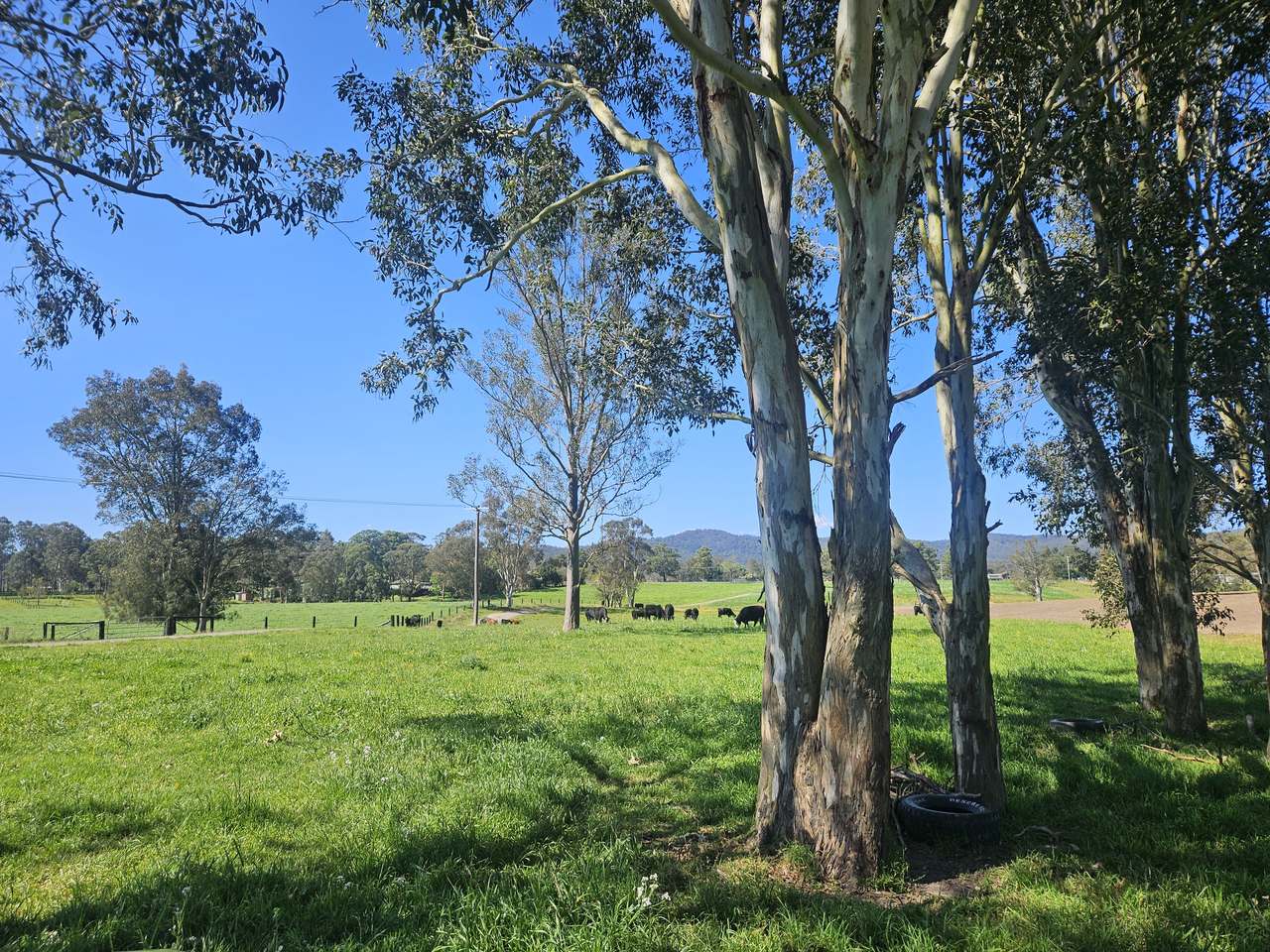 179 Gresford Road, Paterson For Sale by Farmbuy.com - image 29