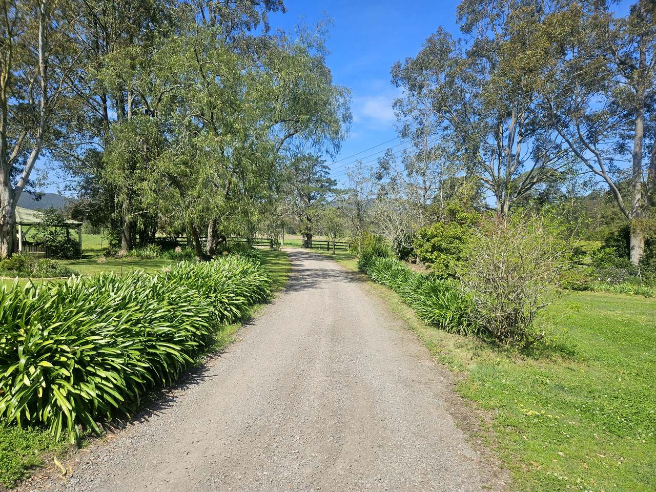 179 Gresford Road, Paterson For Sale by Farmbuy.com - image 12