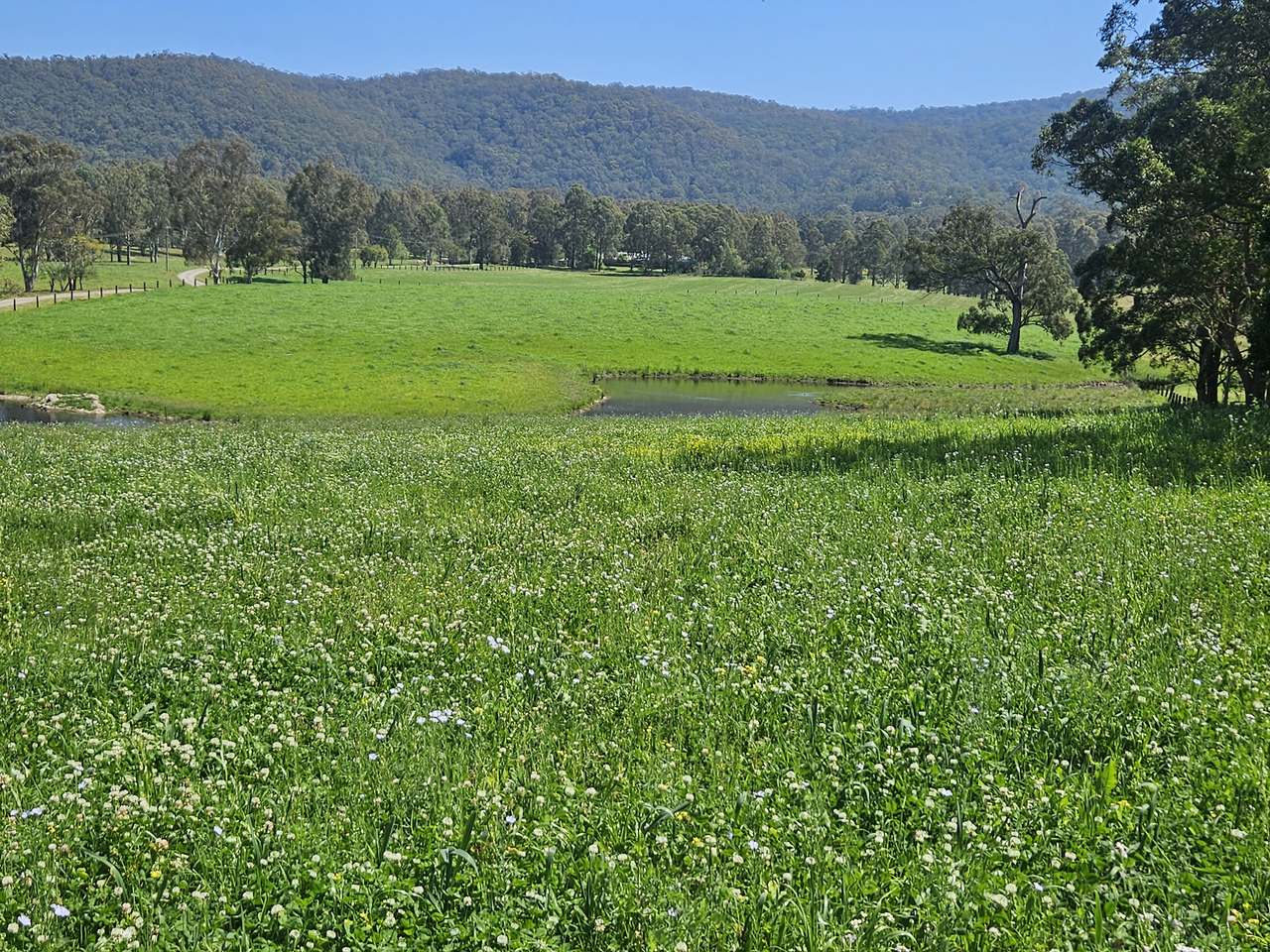 179 Gresford Road, Paterson For Sale by Farmbuy.com - image 6