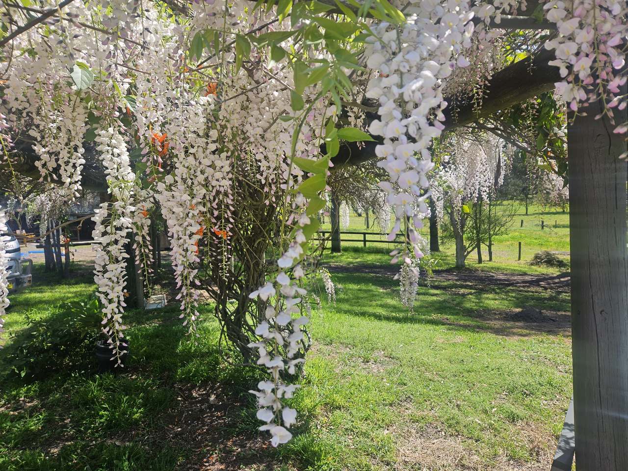 179 Gresford Road, Paterson For Sale by Farmbuy.com - image 14