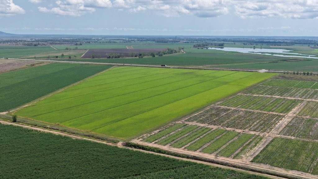 625 Shirbourne Road, Giru For Sale by Farmbuy.com - image 5