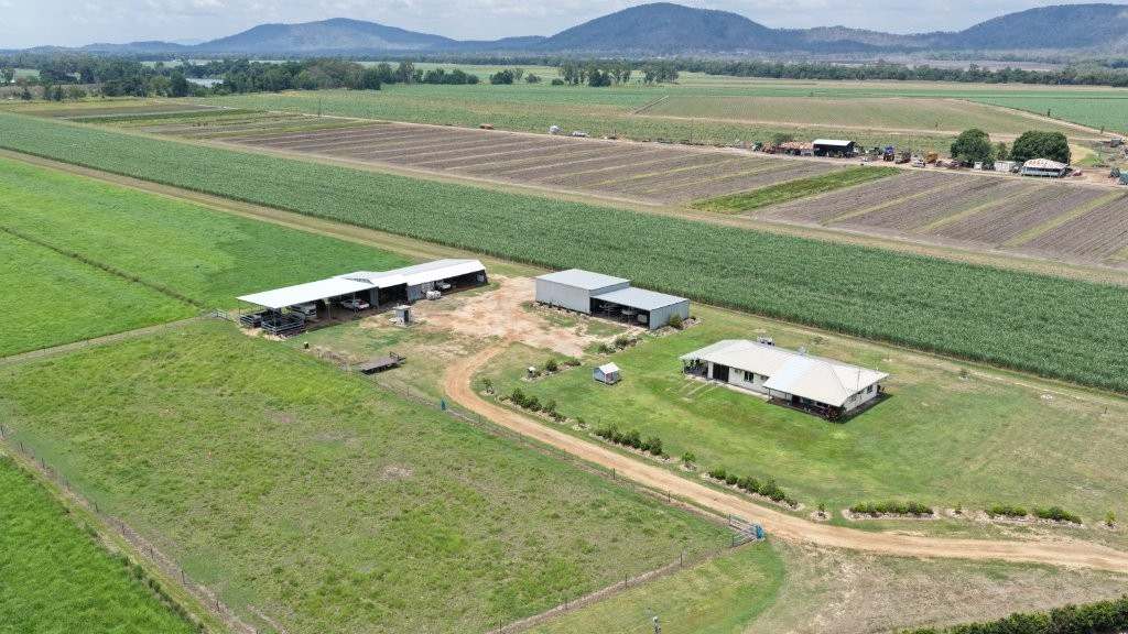 625 Shirbourne Road, Giru For Sale by Farmbuy.com - image 3