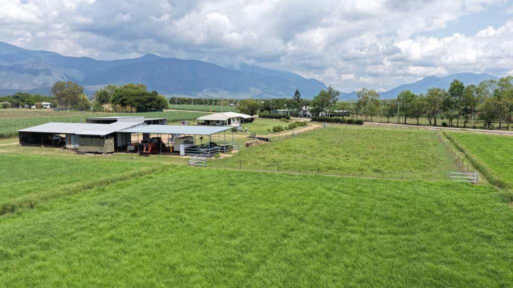 625 Shirbourne Road, Giru For Sale by Farmbuy.com - image 31