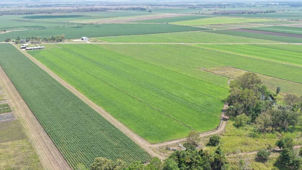 625 Shirbourne Road, Giru For Sale by Farmbuy.com - image 27