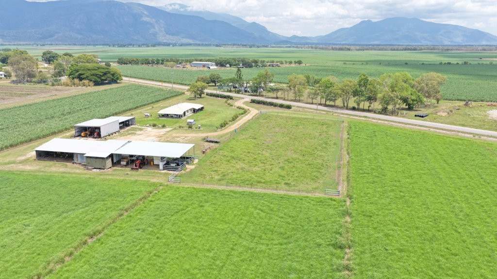 625 Shirbourne Road, Giru For Sale by Farmbuy.com - image 4