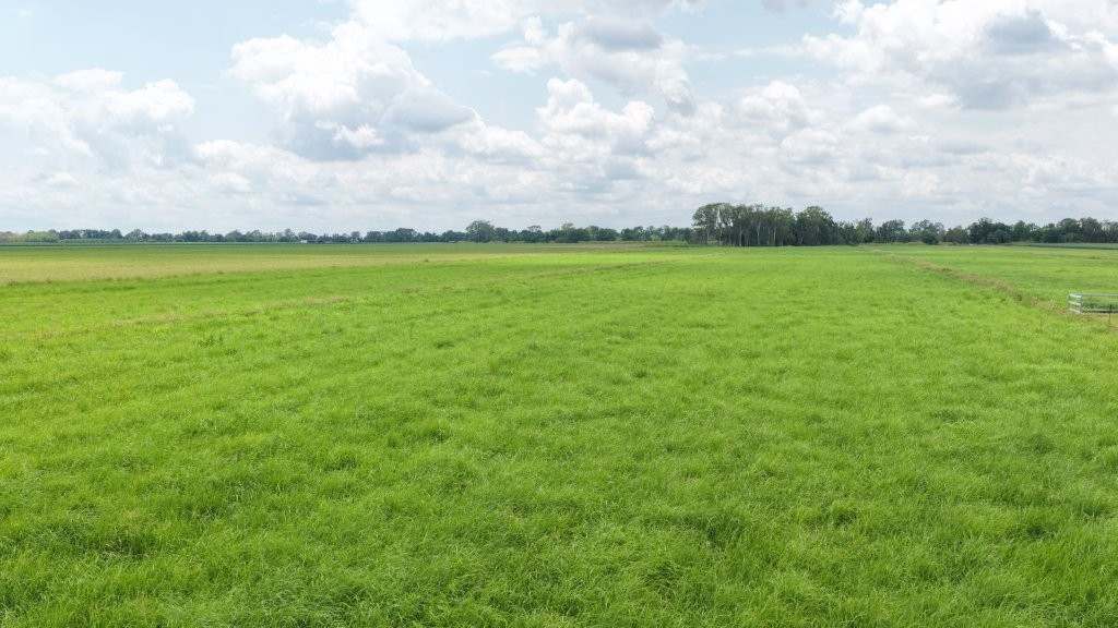 625 Shirbourne Road, Giru For Sale by Farmbuy.com - image 38