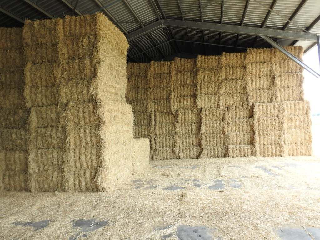 625 Shirbourne Road, Giru For Sale by Farmbuy.com - image 20