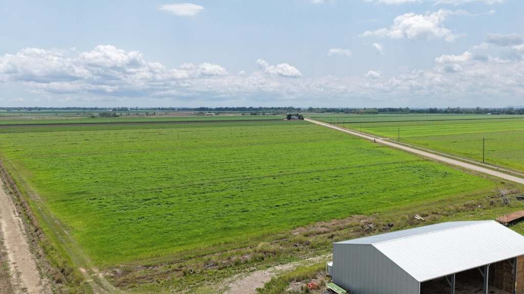 625 Shirbourne Road, Giru For Sale by Farmbuy.com - image 39