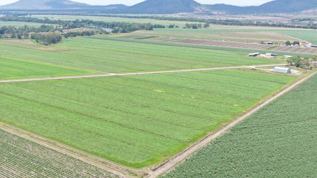 625 Shirbourne Road, Giru For Sale by Farmbuy.com - image 25