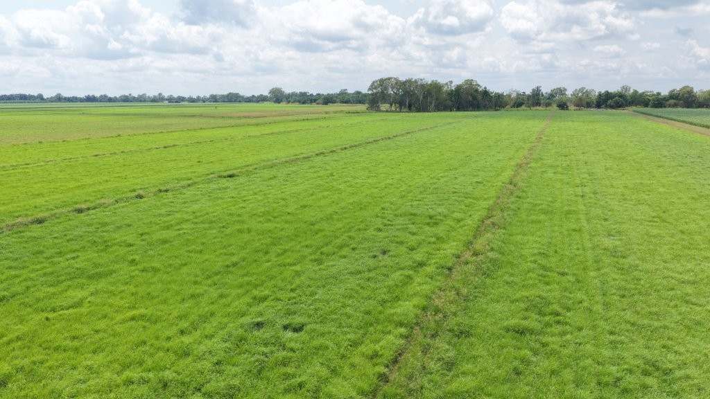 625 Shirbourne Road, Giru For Sale by Farmbuy.com - image 32