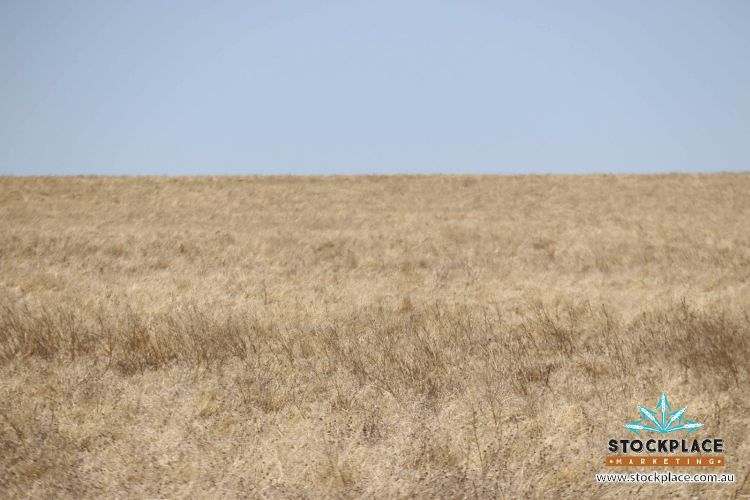 Richmond–Winton Highway, Richmond Expressions of Interest by Farmbuy.com - image 16